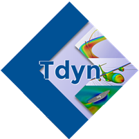 Tdyn multi field coupling simulation system
